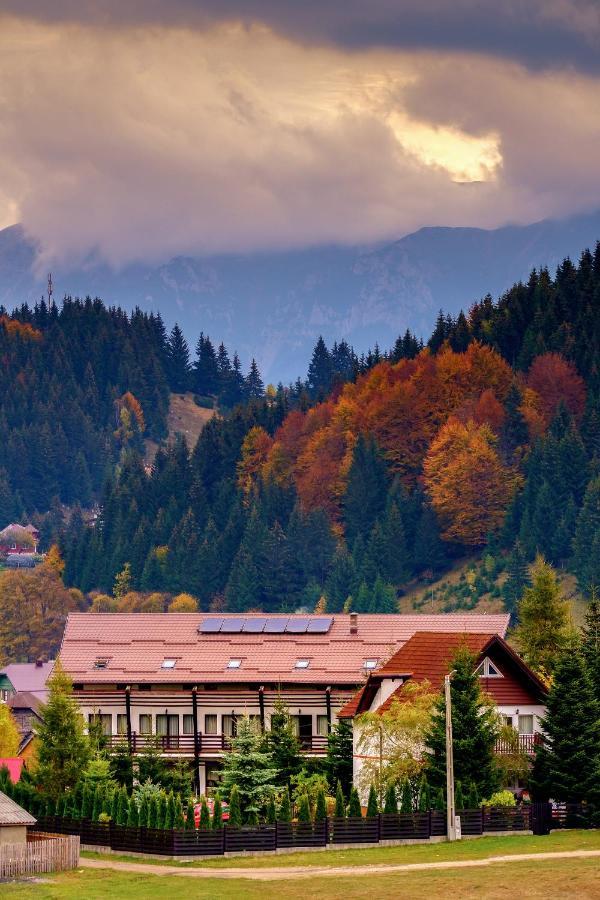 Отель Casa Muntelui Фундата Экстерьер фото